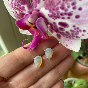 Dew Drops Stud Earrings